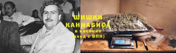 ПСИЛОЦИБИНОВЫЕ ГРИБЫ Михайлов
