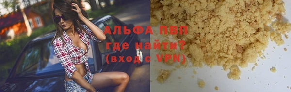 ПСИЛОЦИБИНОВЫЕ ГРИБЫ Михайлов