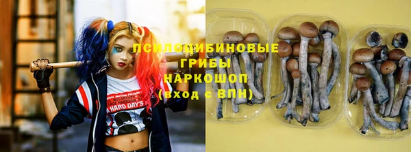 ПСИЛОЦИБИНОВЫЕ ГРИБЫ Михайлов