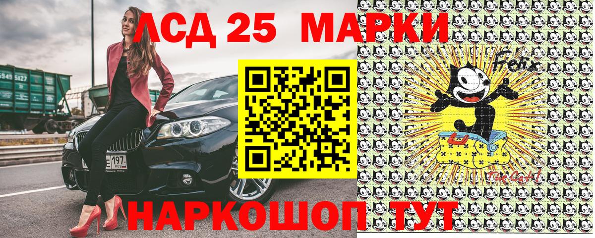 Наркотические марки 1,5мг  где купить наркоту  Наркотические марки  Наркотические марки 1,5мг  Елизово  Вход с VPN 