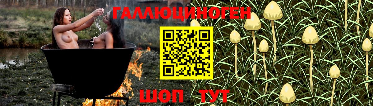 Псилоцибиновые грибы мицелий Елизово